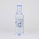 Botella de agua Alzola personalizada 33cl