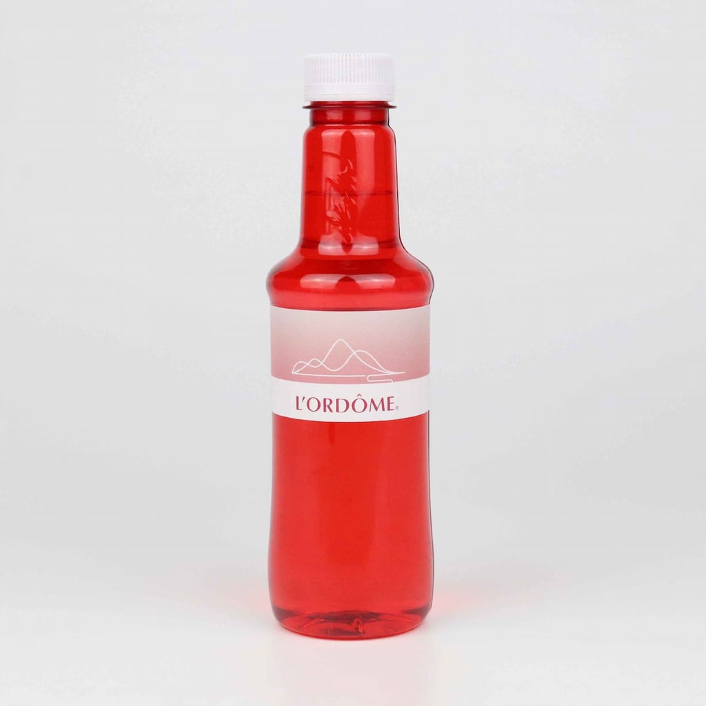 Botella de agua Alzola personalizada 33cl